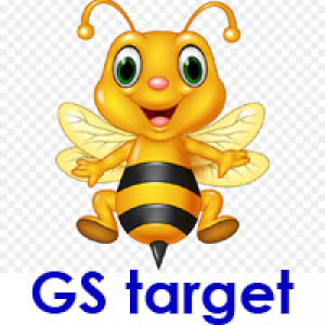 MT4-GS target