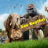 MT4-Hama and Hull EA for Mt4 by ZooCapital