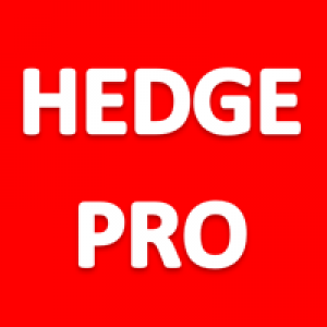 MT5-Hedge System