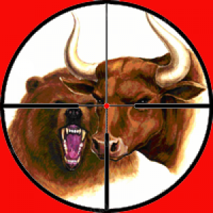 MT4-Hunting for Bulls and Bears