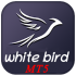 MT5-White Bird For MT5