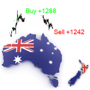 MT4-Kangaroo Forex