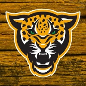 MT5-Leopard EA MT5