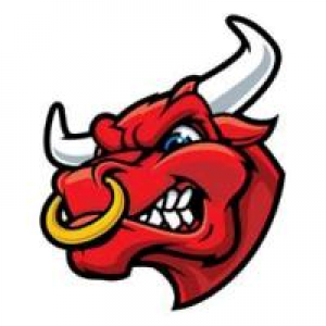 MT4-Mad bull