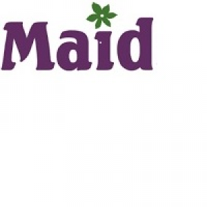 MT5-Maid
