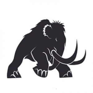 MT4-Mammut