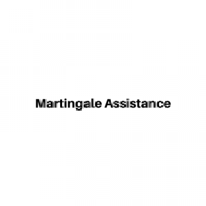 MT4-Martingale Assistance