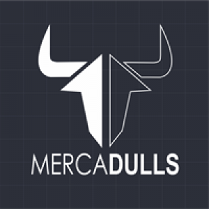 MT5-Mercadulls
