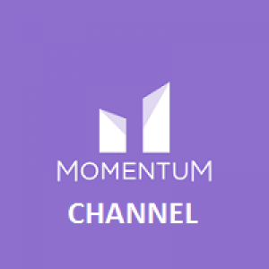 MT4-Momentum Channel