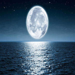 MT4-Moonlight pro