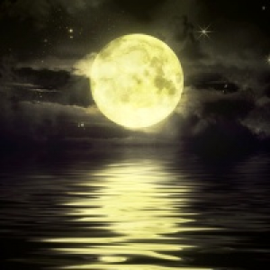 MT4-Quiet Moon