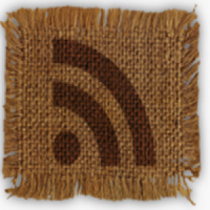 MT5-MT5 Looking