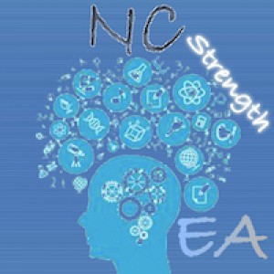 MT4-NC Strength EA