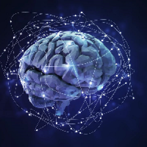 MT4-Neural network NGZ MT4