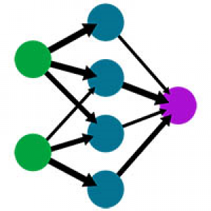 MT5-Neural Networks Libraries