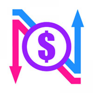MT4-NN8D Volume