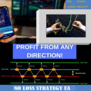 MT4-No loss strategy EA