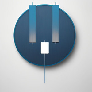 MT5-PA Expert MT5
