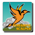 MT4-Peregrine Scalper EA