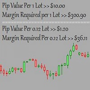 MT4-Pip and Margin Value