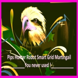 MT4-Pips Hunter Robot