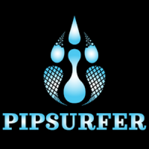 MT4-Pipsurfer EA Entry 2