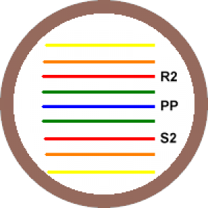 MT4-PivotLevels