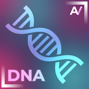 MT5-Price DNA MT5