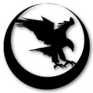 MT4-Night Hawk EA