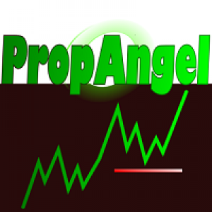 MT5-PropAngel Equity Manager