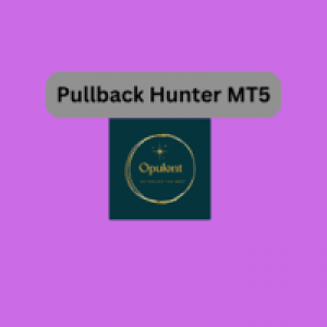 MT5-Pullback Hunter MT5