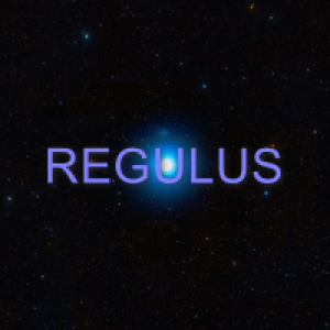 MT5-Regulus exclusive advisor