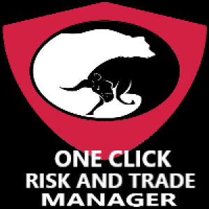 MT4-Risk And Trade Manager