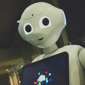 MT4-Robot 100M