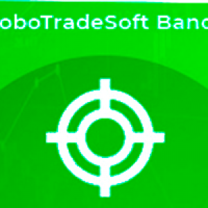 MT4-RoboTradeSoft System