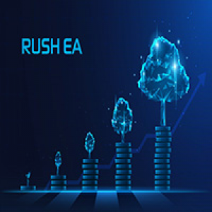 MT4-Rush EA