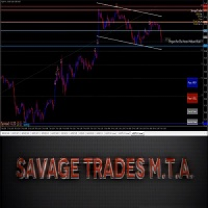 MT4-Savage Trades Manual Trading Assistant EA