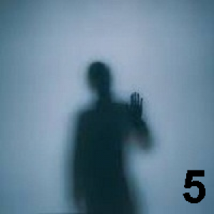 MT5-Shadow Height mt5