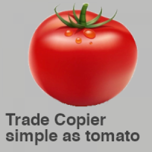 MT4-Easy Trade Copy MT4