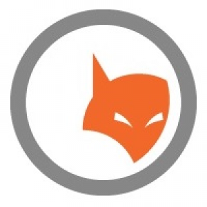 MT4-Sly Fox ParaS EMA Trend Rider