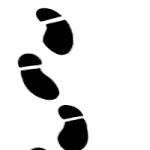 MT5-STEP up