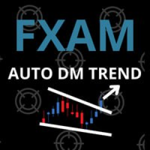 MT5-Swing trend auto