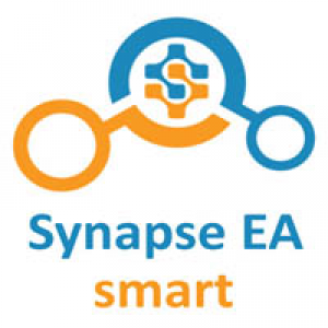 MT4-Synapse smart