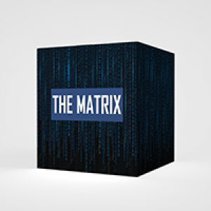 MT5-The Matrix