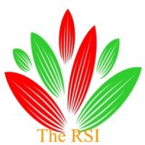 MT5-The RSI
