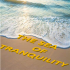 MT5-The sea of tranquility MT5 MT5-The sea of tranquility MT5