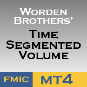 MT4-Time Segmented Volume for MT4