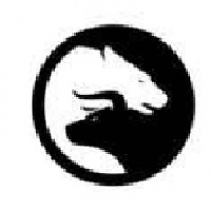 MT5-Trading Utility