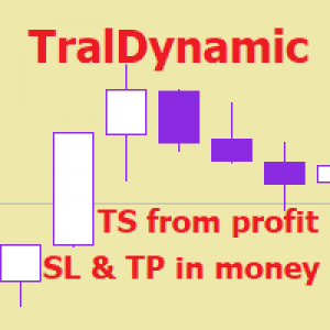 MT4-TralDynamic