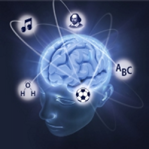 MT4-Trend for Neuro